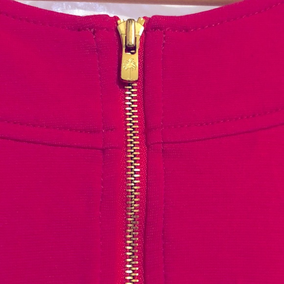 Lilly Pulitzer Dress - Picture 6 of 6